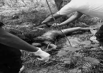 घोडाघोडीमा सडि सकेको शवको पहिचान