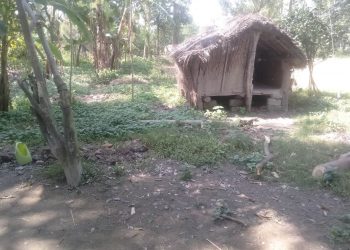 टीकापुरक्षेत्रमा छाउपडी प्रथा कायमै