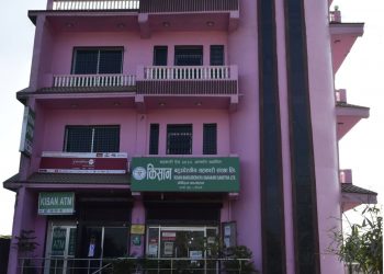 किसान सहकारीद्वारा खुला निबन्ध लेखन प्रतियोगिता आयोजना