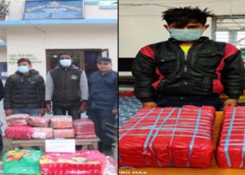 साढे १० किलो गाँजासहित तीनजना पक्राउ