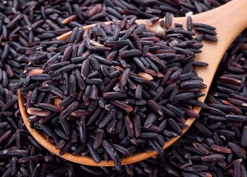 कालो मार्सी चामल प्रतिकेजी २५० रुपियाँ