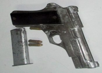 पेस्तोलका ५० थान गोलीसहित एकजना पक्राउ