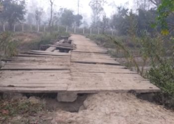 गलत व्यक्तिले काठे पुल भत्काइदिँदा समस्या