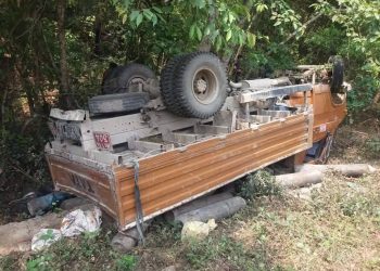 अक्सिजन सिलिण्डर बोकेको ट्रक दुर्घटना