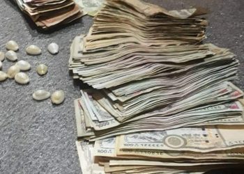 १४ लाख नगद, १० महिलासहित २९ जना जुवाडे पक्राउ