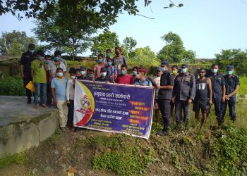 टीकापुरमा १० हजार बोट गाँजा नष्ट