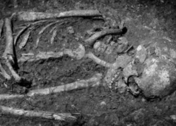 कैलालीको भजनीमा मानव कंकाल फेला पर्यो