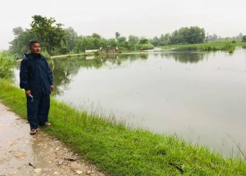 टीकापुर ६ र ७ का केहि भाग डुबान हुने अवस्थामा