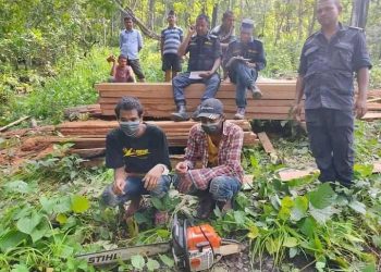 कैलालीको वनबाट काठ र काठ चिर्ने औजारसहित २ जना पक्राउ