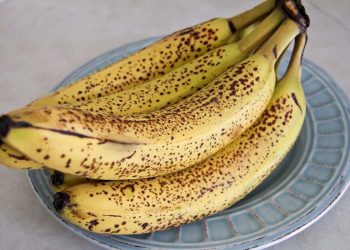 कस्तो केरा खानुहुँदैन ?