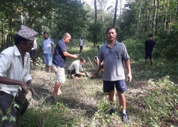 सत्ती कर्णाली सामुदायिक वनद्वारा १३ सय बोटबिरुवा बृक्षारोपण