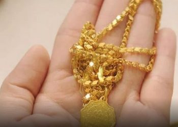 बन्दुक देखाएर गरगहना लुटपाट