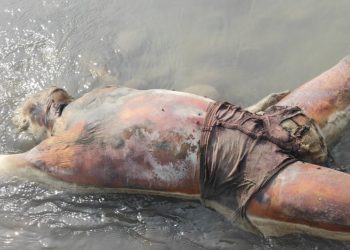 कैलालीको टीकापुरमा वेवारिसे शब फेला