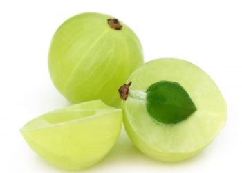 केवल १ अमलाले पुरा गर्छ शरीरको भिटामिन सीको आवश्यकता तर यसरी खानुपर्छ