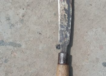 कैलालीको मोहन्यालमा हँसिया प्रहार गरी श्रीमानको हत्या