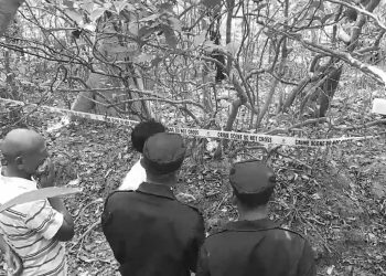 सामुदायिक वनमा झुन्डिएको अवस्थामा दुइ जनाको शव फेला