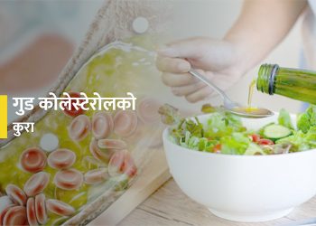 आवश्यक छ कोलेस्टेरोल पनि