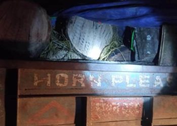 कैलालीमा ट्याक्टर सहित ६ सालको गोलिया बरामद