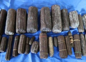 साढे ११ किलो चरेसहित थप तीन जना पक्राउ