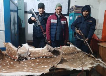 कैलालीको घोडाघोडी बाट चित्तलको छाला सहित एक जना पक्राउ