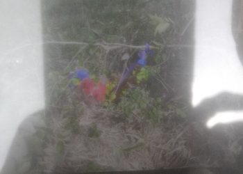 एक महिला मृत फेला