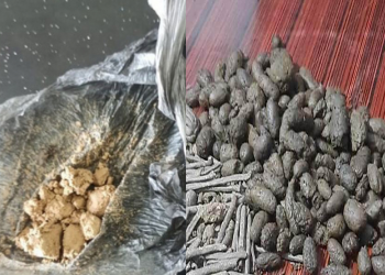 लागूऔषधसहित ३ युवक पक्राउ