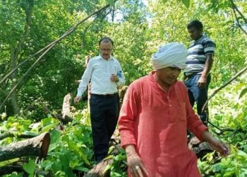 सामुदायिक बन भित्र भएको अबैध बन फंडानीको फिल्ड मै पुगेर मन्त्री धामीले निरिक्षण गरे