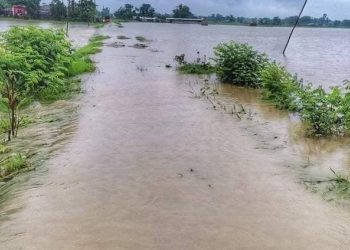 कैलालीमा बाढीले नेपाल–भारत सीमा स्तम्भ बगायो