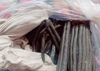 कञ्चनपुरमा ५ किलो बढी चरेससहित एक जना पक्राउ