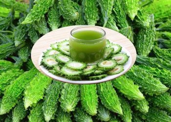 तितेकरेला खानुहुन्छ ? खाँदा बनाउँछ यस्तो गम्भीर रोग निको !