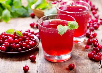क्र्यानबेरीको जुस महिलाहरूको लागि अमृत समान, यस्ता छन् फाइदा