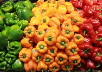 क्याप्सिकम खानुका फाइदा अनेक