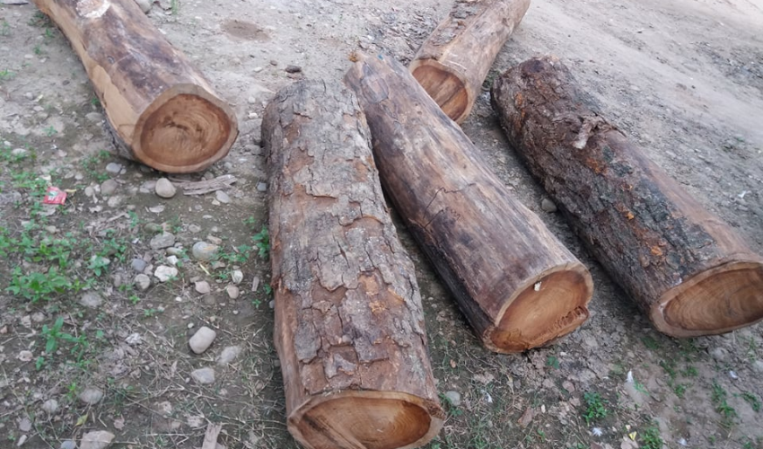 फाइल फोटो