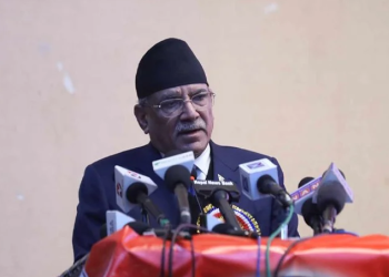 म नर्मदासम्म देशमा उथलपुथल भइराख्छः प्रचण्ड