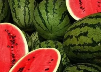 कसरी चिन्ने सुई हालेको खरबुजा ?