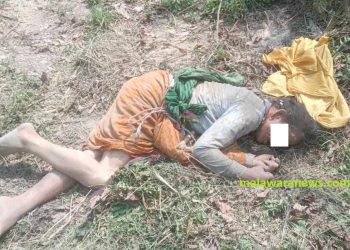 कैलालीको टीकापुरमा हात्तीको आक्रमणबाट एक महिलाको ज्यान गयो