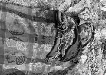 अछाममा रुखबाट लडेर एक किशोरको मृत्यु