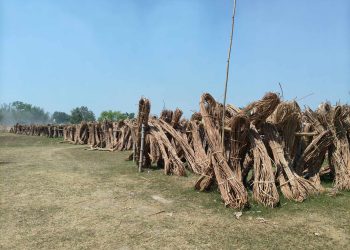 बेत उत्पादनमा सत्ती कर्णाली सामुदायिक वन अग्रणी स्थानमा