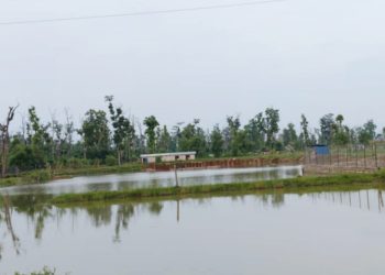 कैलालीको टीकापुरमा कोल्ड स्टोरको खाल्डोमा डुबेर एक बालकको मृत्यु