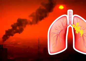 चुरोटबाहेक यस्ता चिजहरूले पनि गर्छ फोक्सोलाई हानि