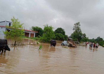 कैलालीको कैलारी क्षेत्रका ७२ घर डुबानमा
