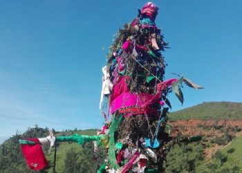 सुदूरपश्चिमका बिभिन्न ठाउँमा आज ओल्के पर्व मनाइदै