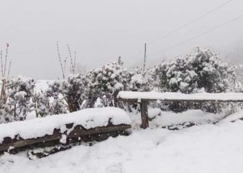हिमपातले चिसो बढ्यो, खेतीपाती राम्रो हुने