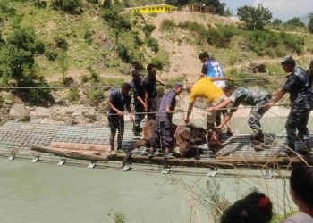 पुल मर्मत नहुँदा आवागमनमा सास्ती