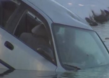 अमेरिकाको भर्जिनियामा पोखरीमा डुबेर दुई नेपालीको निधन