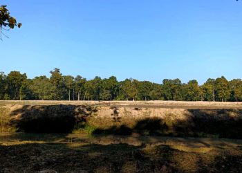 चरम दोहनले मासिँदै सिमसार