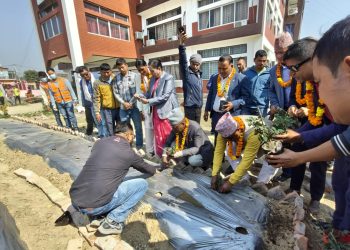 टीकापुरलाई गुलाफको शहर बनाउने अभियान सुरु