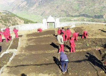 विद्यार्थीलाई तरकारी उत्पादन गर्न सिकाइँदै