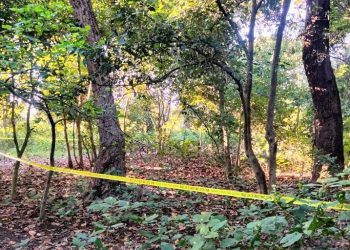 धनगढीको सामुदायिक वनमा दुई जना मृत फेला