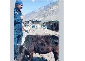 गाईले पायो न्याय